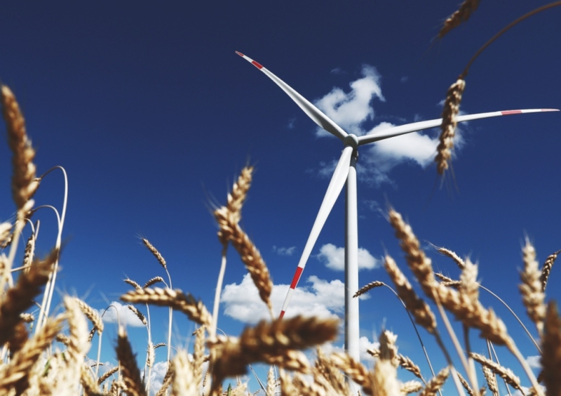 Восприимчивым не&nbsp;в&nbsp;кого верить